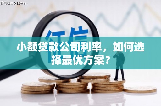 北镇小额贷款公司利率，如何选择最优方案？