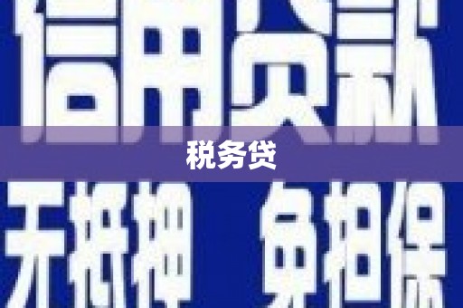 北镇税务贷