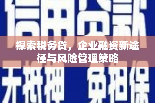 北镇探索税务贷，企业融资新途径与风险管理策略