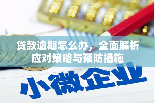 北镇贷款逾期怎么办，全面解析应对策略与预防措施