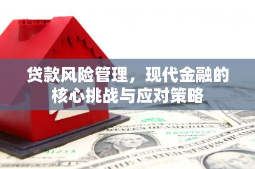 北镇贷款风险管理，现代金融的核心挑战与应对策略