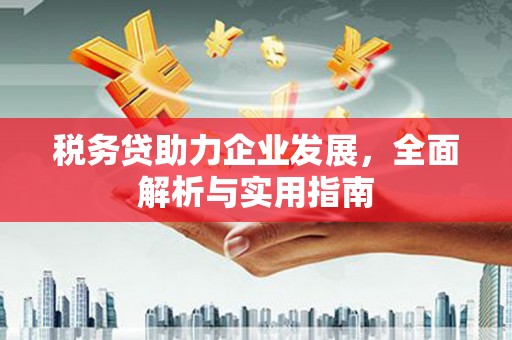 北镇税务贷助力企业发展，全面解析与实用指南